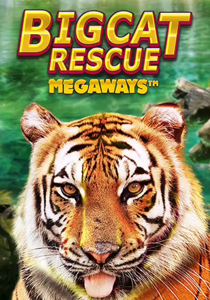 BigcatRescueMegaways