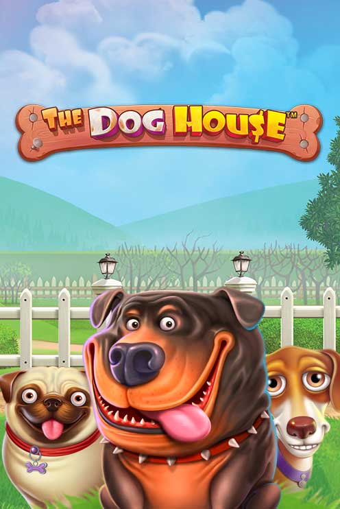 The Dog House