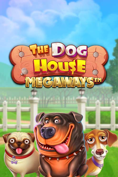 doggnbm